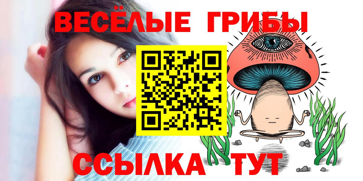 Псилоцибиновые грибы GOLDEN TEACHER Пугачёв