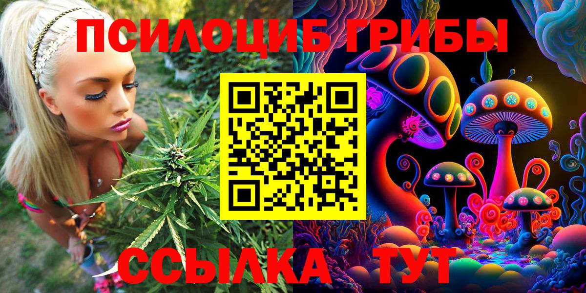 Галлюциногенные грибы Psilocybine cubensis  Вход с VPN  Пугачёв 
